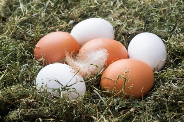 Fresh Chicken Eggs Straw Farm Rustic Style — Stock Photo, Image