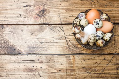 Tavuk ve Bıldırcın yumurta bir plaka üzerinde bir ahşap arka plan kopya alanı