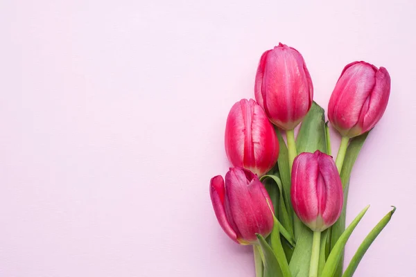 Ramo Tulipanes Púrpura Brillante Sobre Fondo Rosa Copiar Espacio — Foto de Stock