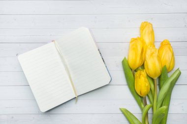 Lale ve dizüstü bir buket havai görünümü. kopya alanı. Düz yatıyordu, en iyi görünümü.