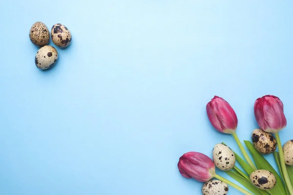 Bright Flowers Tulips Quail Eggs Blue Background Spring Easter Holiday — Stock Photo, Image