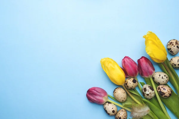Jasne Kwiaty Tulipany Przepiórczych Jaj Niebieskim Tle Wiosna Wielkanoc Wakacje — Zdjęcie stockowe