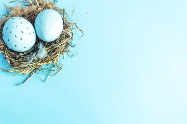 Uova Pasqua Nido Erba Sfondo Blu Copia Spazio — Foto Stock