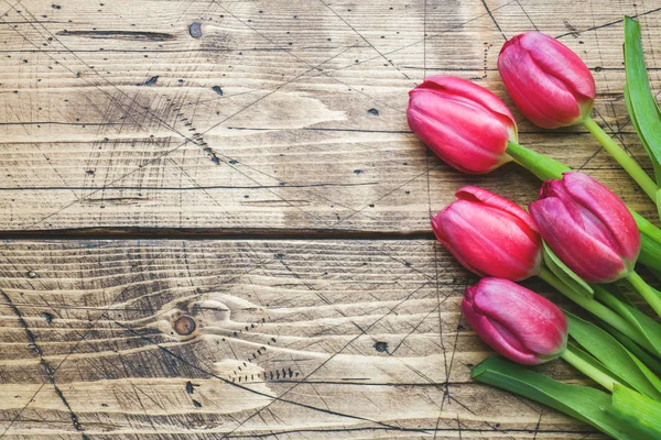 Tulipanes Rosa Púrpura Derecha Sobre Fondo Madera Con Espacio Para —  Fotos de Stock