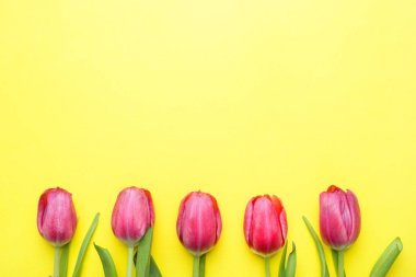 Buket sarı arka plan kopya alanı üzerinde parlak mor laleler,