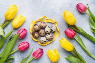 Taş zemin üzerine parlak çiçek Lale ve bıldırcın yumurtası. Bahar ve Paskalya tatil kavramı kopya alanı ile.