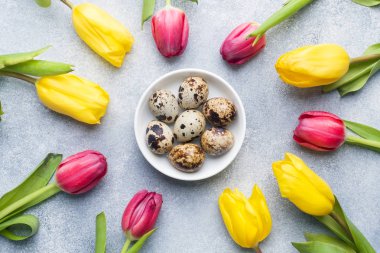 Taş zemin üzerine parlak çiçek Lale ve bıldırcın yumurtası. Bahar ve Paskalya tatil kavramı kopya alanı ile.