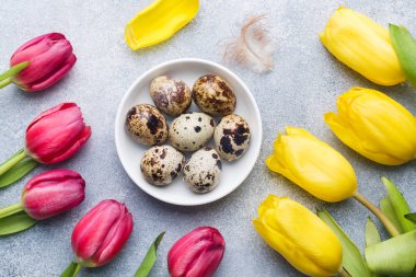 Taş zemin üzerine parlak çiçek Lale ve bıldırcın yumurtası. Bahar ve Paskalya tatil kavramı kopya alanı ile.