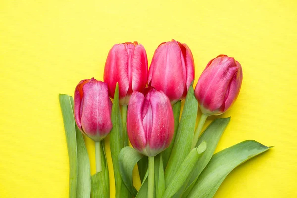 Ramo Tulipanes Púrpura Brillante Sobre Fondo Amarillo Copiar Espacio —  Fotos de Stock
