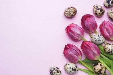 Renk arka plan üzerinde parlak çiçek Lale ve bıldırcın yumurtası. Bahar ve Paskalya tatil kavramı kopya alanı ile