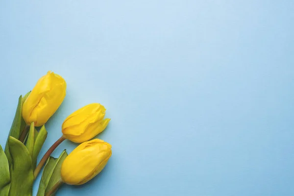 Ramo de tulipanes de color amarillo brillante sobre fondo azul Copiar espacio — Foto de Stock