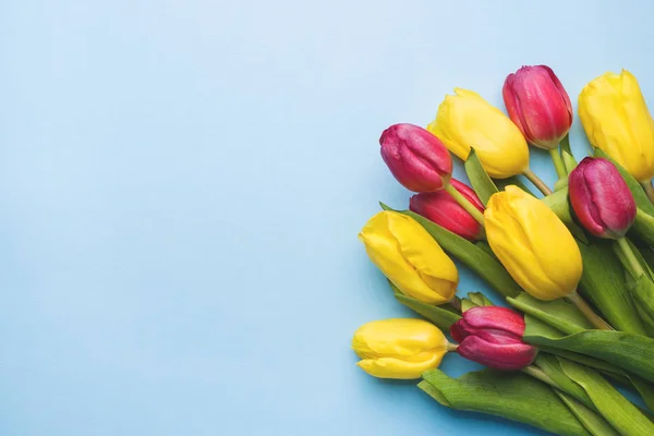 Bukett av ljus lila och gula tulpaner på blå bakgrund kopia utrymme, — Stockfoto