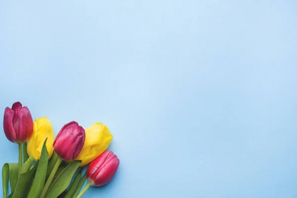 Ramo de tulipanes púrpura y amarillo sobre fondo azul Copiar espacio , — Foto de Stock