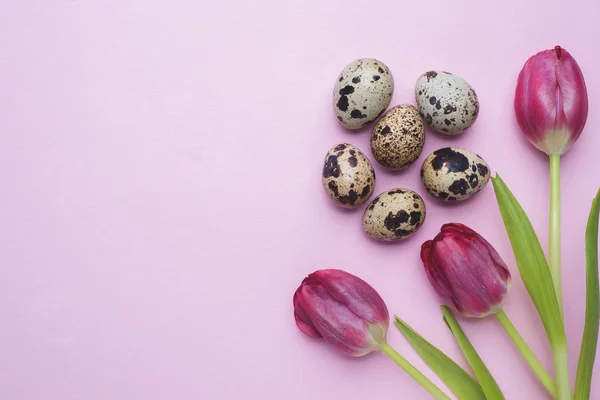 Světlé květiny tulipány a Křepelčí vejce na barvy pozadí. Jarní a velikonoční dovolená concept s kopií prostor — Stock fotografie