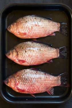 Bir tavada siyah bir zemin üzerine taze çiğ sazan.