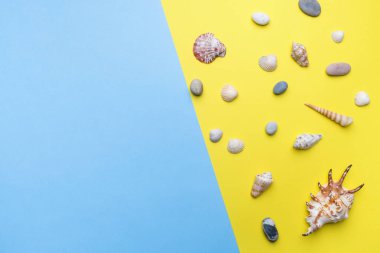 Kavram yaz tatili. Sarı zemin üzerine deniz kabuklarını. Uzay kopyalayın. Düz yatıyordu.