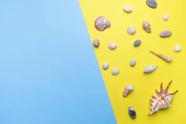Concepto vacaciones de verano. Conchas marinas sobre fondo amarillo. Copiar espacio. Puesta plana . — Foto de Stock