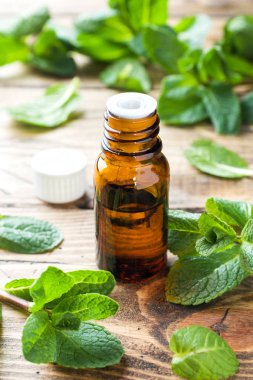 Ahşap zemin üzerine nane ile temel aroma yağı. Seçici odak, kopya alanı.