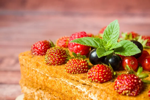 딸기, 민트, 건포도와 벌 꿀 케이크 — 스톡 사진