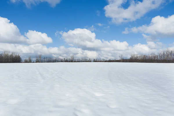 Paisagem de inverno fora da cidade. Campo na neve e céu azul brilhante . — Fotografia de Stock