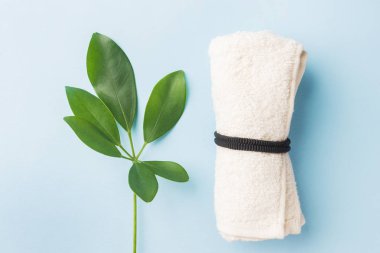 Mavi arka planda yeşil yaprak ve havlu Spa kavramı.