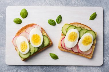 Yumurta peyniri, taze salatalık ve turp ile sandviçler. Konsept sağlıklı kahvaltı.