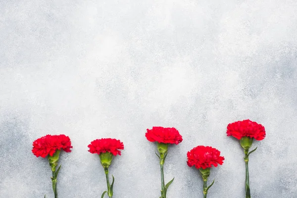 红色康乃馨在具体背景与复制空间。母亲节贺卡, 情人节. — 图库照片