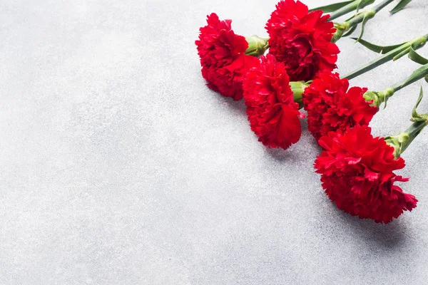Rote Nelken auf Betongrund mit Kopierraum. Muttertagskarte, Valentinstag. — Stockfoto