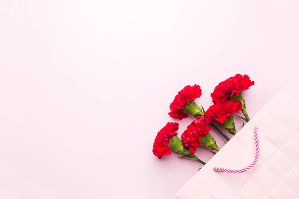 红色康乃馨在粉红色的背景与复制空间。母亲节贺卡, 情人节. — 图库照片