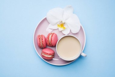 Konsept sabah kahvaltısı. Mavi pastel arka plan üzerinde kahve makarna kurabiye fincan. Düz döşeme stili.