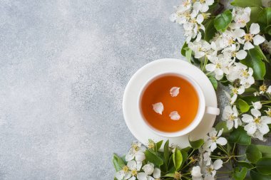 Fincan çay ve kopya alanı ile gri bir beton arka plan üzerinde apple şube çiçeklenme. Konsept sabah Kahvaltısı.