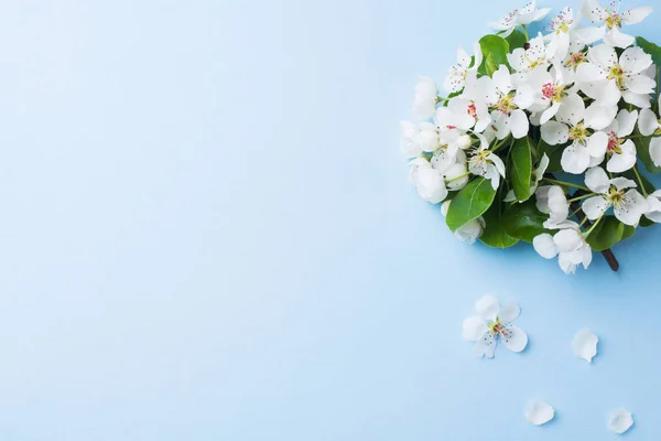 Rama de floración de primavera sobre fondo azul. Flores de manzana Copiar espacio — Foto de Stock
