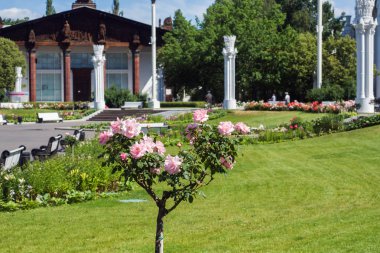 Moskova, Rusya - 24 Haziran 2019: Karelia Pavyonu Moskova'daki Vdnkh'te. Ulusal Ekonominin Başarıları Sergisi.