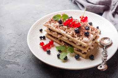 Çıtır diyet ekmek, lor ve kırmızı kuş üzümü ile yaban mersini köy peyniri tatlı. Seçici odaklama.