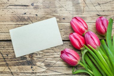 kopya alanı ile ahşap arka plan üzerinde şu pembe mor laleler.