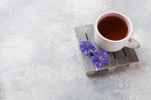 Copa con bebida de achicoria y flores de achicoria azul sobre mesa gris. Copiar espacio . — Foto de Stock