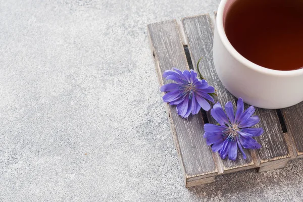 Copa con bebida de achicoria y flores de achicoria azul sobre mesa gris. Copiar espacio . — Foto de Stock