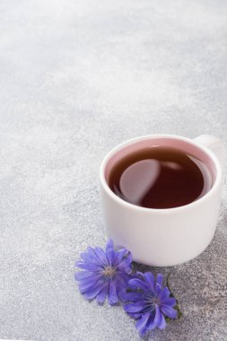 Gri masada hindiba içecek ve mavi hindiba çiçekleri ile Fincan. Kopyalama alanı.