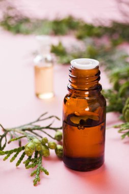 Pembe bir arka plan üzerinde bir cam kavanozda Thuja aroması uçucu yağ. Kopya alanı. Seçici odaklama.