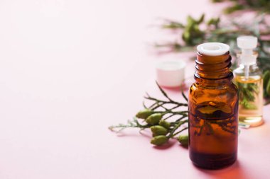 Pembe bir arka plan üzerinde bir cam kavanozda Thuja aroması uçucu yağ. Kopya alanı. Seçici odaklama.