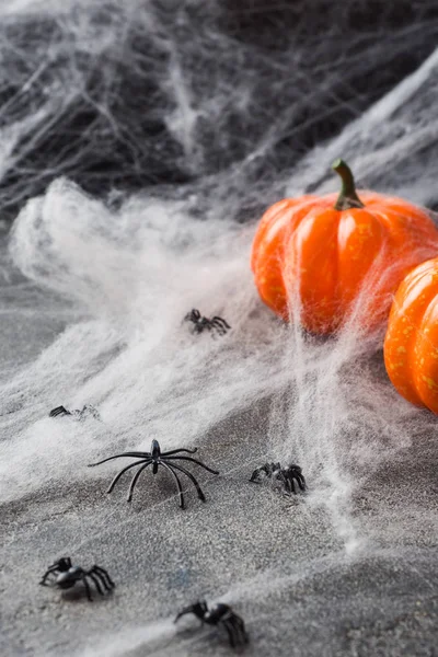 Halloween a hátteret a színes tök és pók weben. — Stock Fotó