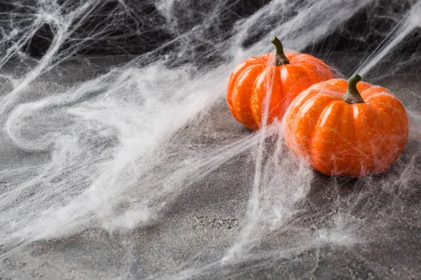 Halloween a hátteret a színes tök és pók weben. — Stock Fotó