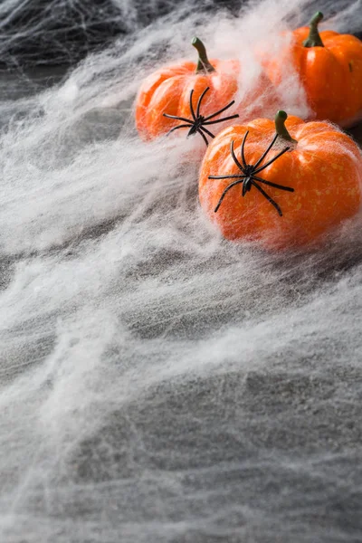 Halloween a hátteret a színes tök és pók weben. — Stock Fotó