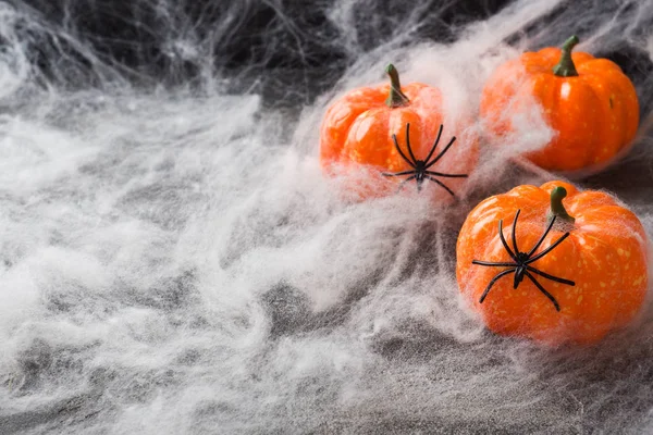 Halloween a hátteret a színes tök és pók weben. — Stock Fotó