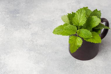 Kopya alanı ile gri bir masada bir Fincan taze nane yaprakları.