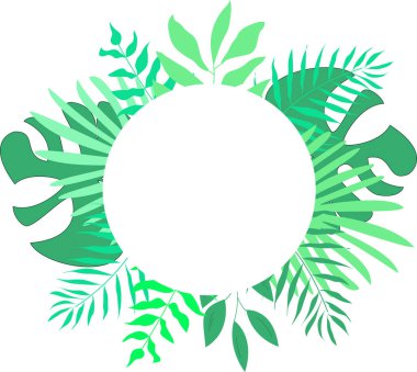 Vektör tropikal yaprakları niçin kümesi. Palmiye, eğrelti otu, dracaena ve diğerleri.