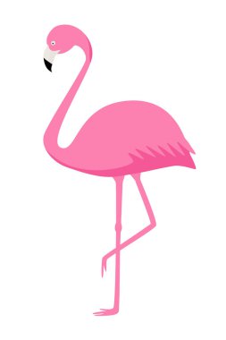 Pembe Flamingo vektörbeyaz arka plan üzerinde izole. Egzotik kuş.