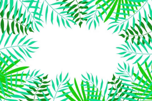 Vector set of tropical leaves. Palm, fern, dracaena and others. — Stock Vector