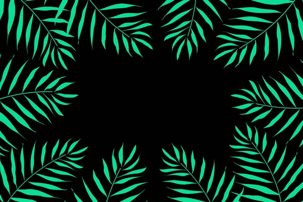 Siyah bir arka plan üzerinde yeşil dalları palmiye ağaçları. Çerçeve vektörü — Stok Vektör