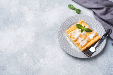 Pudra şekeri ve nane yaprakları ile bir plaka üzerinde süzme peynir güveç. Seçici odak kopya alanı